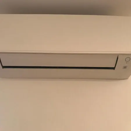 Dani's *